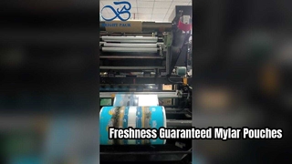 Майларовый мешочек с печатью, герметичный закрывающийся мешок для хранения пищевых продуктов