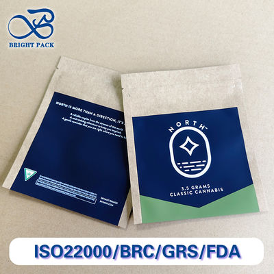 Заказ на заказ напечатанные бумажные пакеты Kraft Bulk Order Eco-Friendly 10-Color Logo Printing Retail.