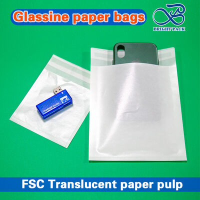 Заказные печатные стеклянные бумажные пакеты для высококлассных упаковок для одежды - перерабатываемые, биоразлагаемые и прозрачные