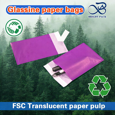 Сертифицированные FSC стеклянные бумажные пакеты с высокой прозрачностью и настраиваемыми размерами для упаковки элитной одежды