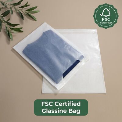 Luxury Glassine Bag Wholesale Custom Printed Translucent Flat Paper Bag for Clothing Apparel Gift Retail Packaging OEM (Распространенная по заказу напечатанная прозрачная плоская бумажная сумка для одежды)